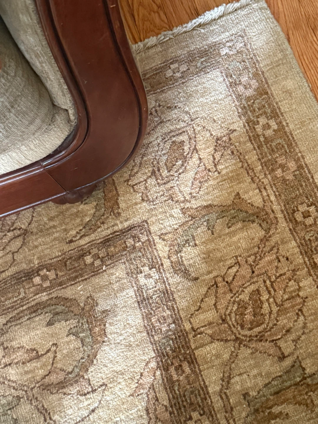 Oriental neutral floral Area Rug 8x10 - photo 4