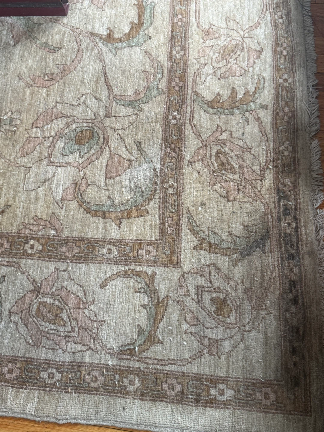 Oriental neutral floral Area Rug 8x10 - photo 3