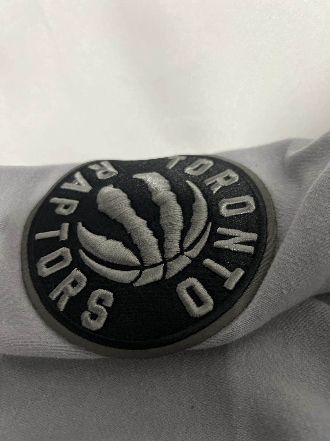 PRO STANDARD Toronto Raptors Hoodie - photo 3