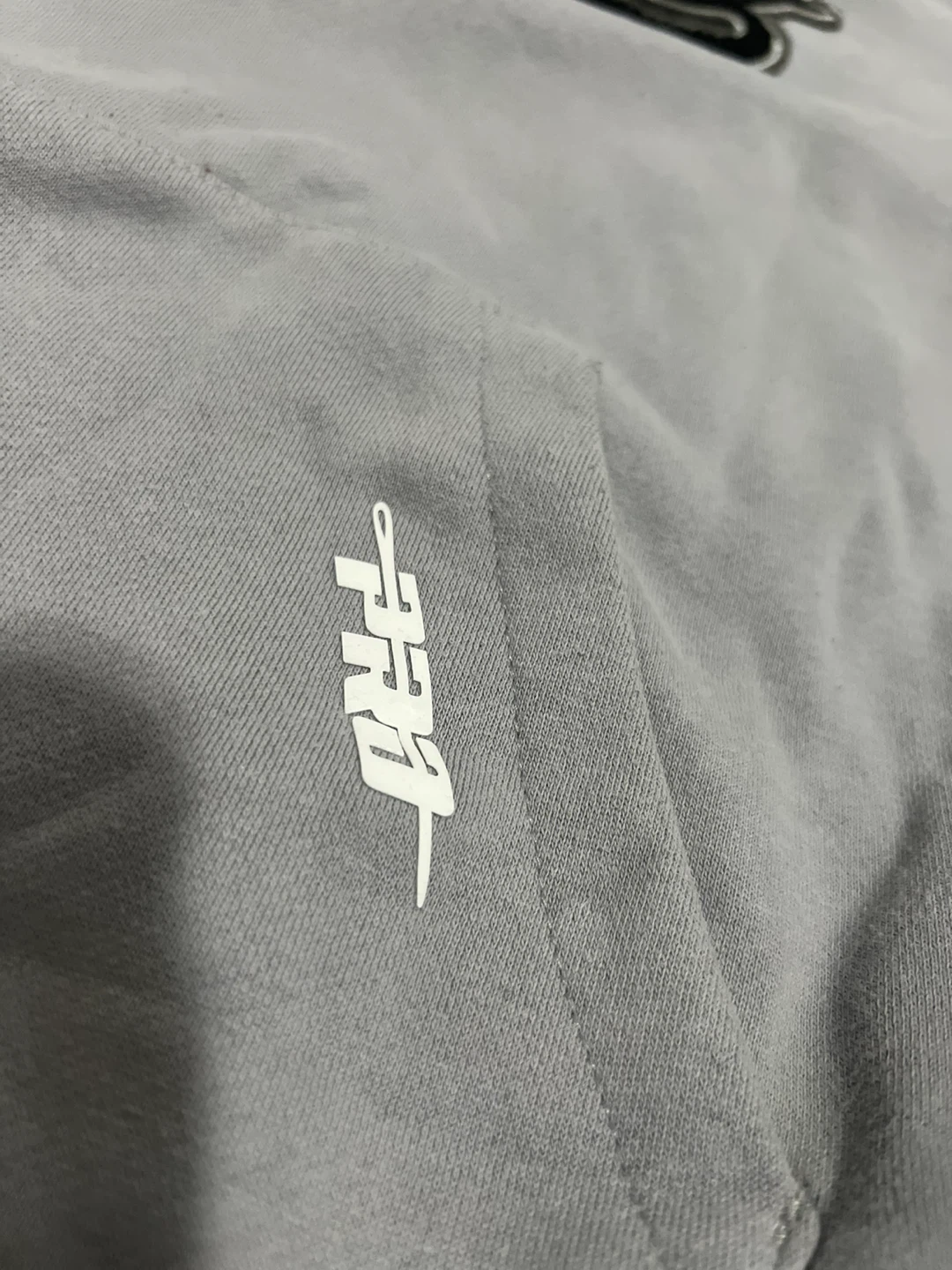 PRO STANDARD Toronto Raptors Hoodie - photo 4