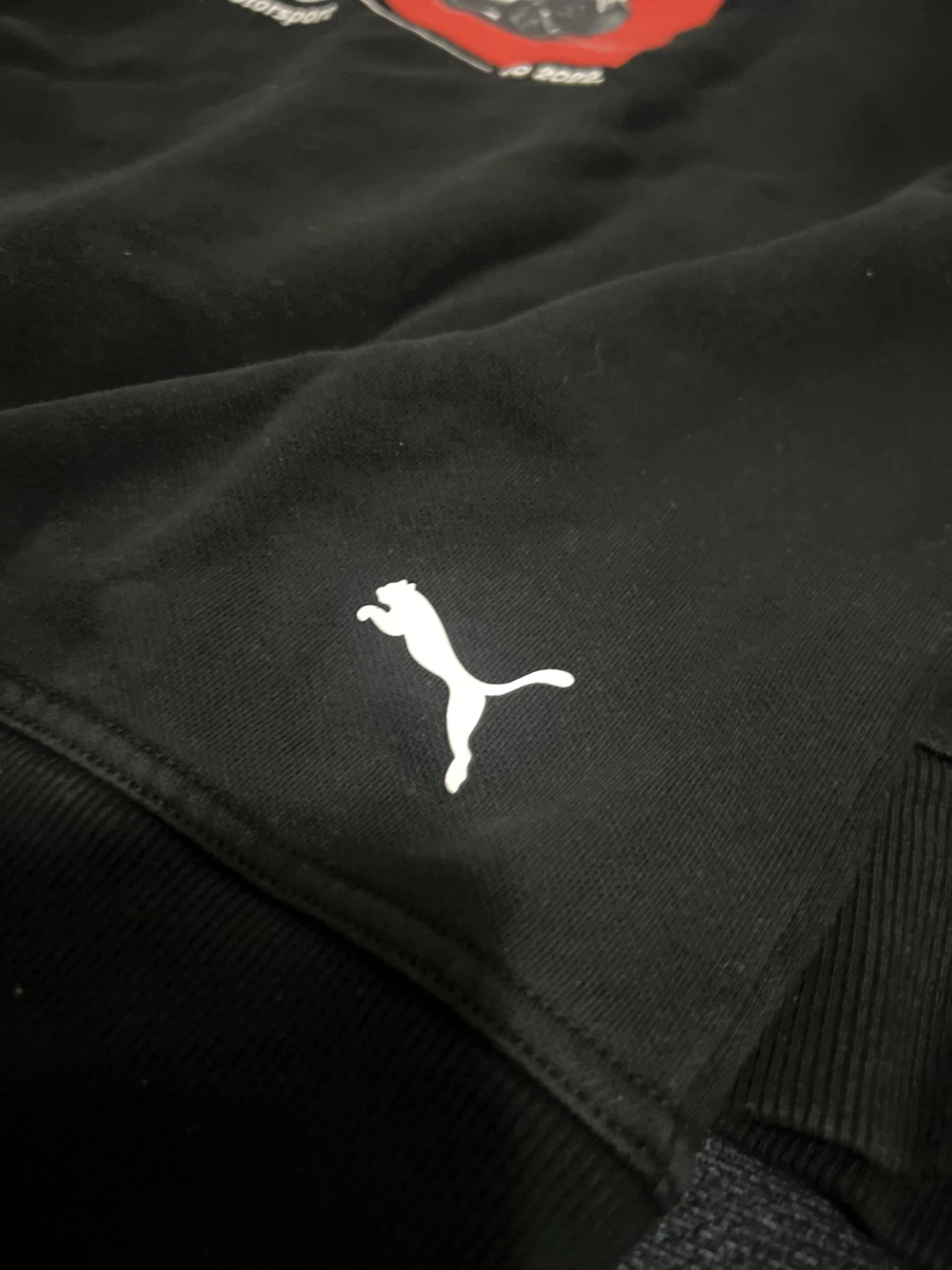 Puma BMW M Motorsport Hoodie - photo 4