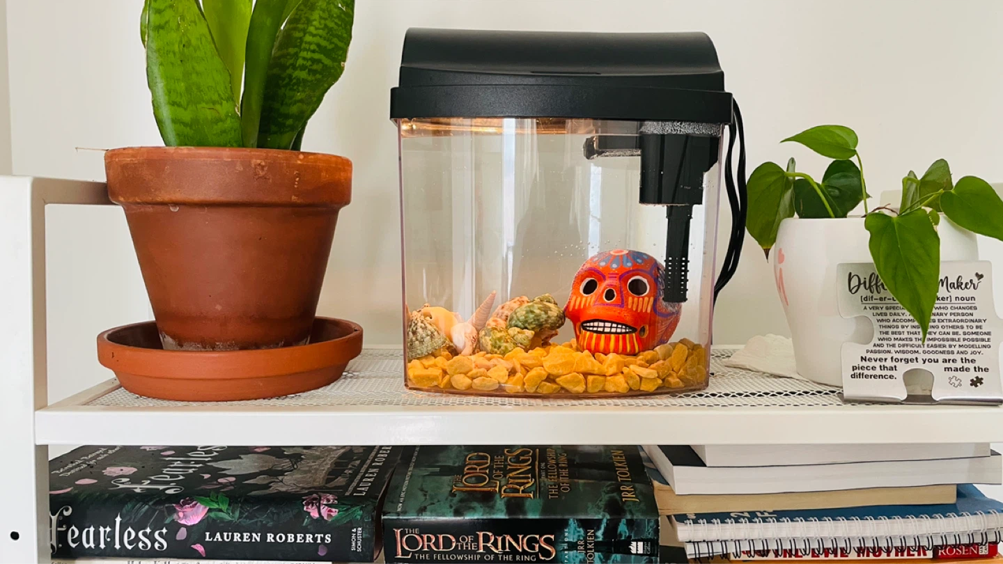 Aqueon MiniBow 1 Desktop Aquarium Kit