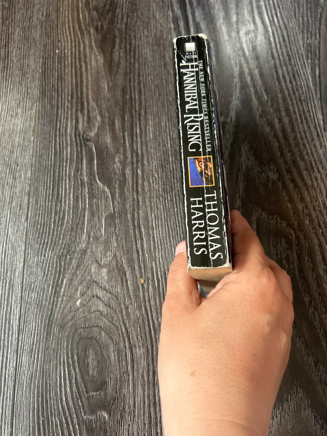 Hannibal Rising by Thomas Harris - photo 2