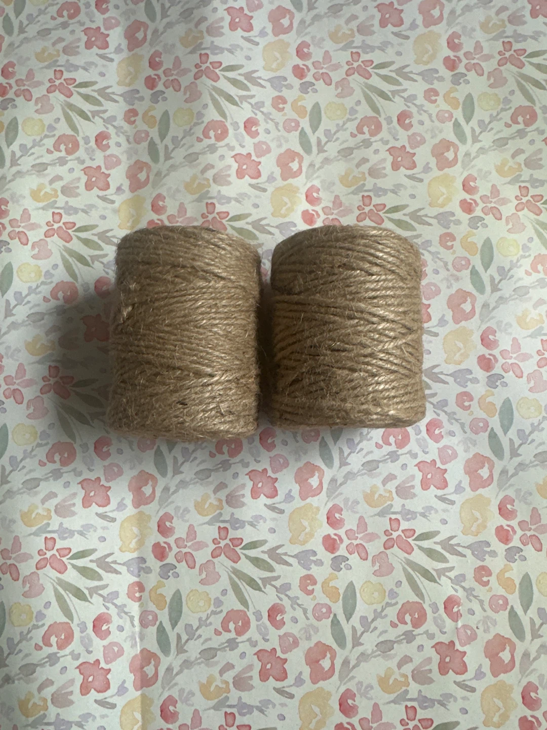 Two Spools of Jute Twine