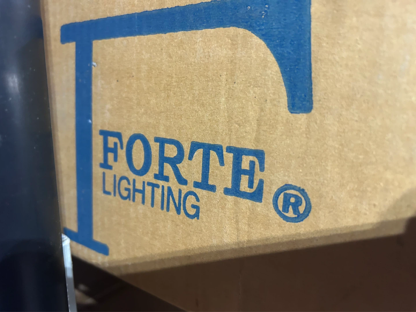 Forte Lighting 2046-01-02 Pendant Light - photo 2