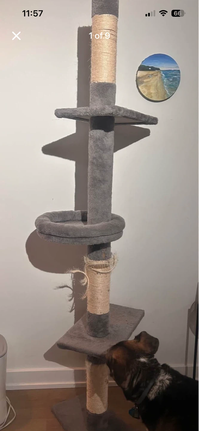 Grey Multi-Level Cat Tree with Scratching Posts