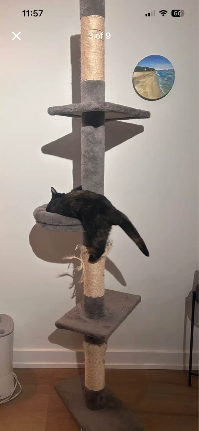 Grey Multi-Level Cat Tree with Scratching Posts - photo 3