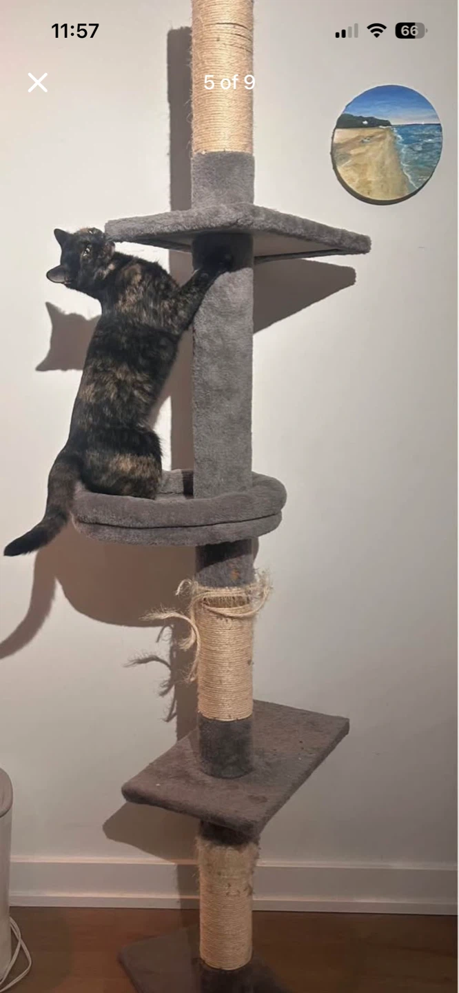 Grey Multi-Level Cat Tree with Scratching Posts - photo 5
