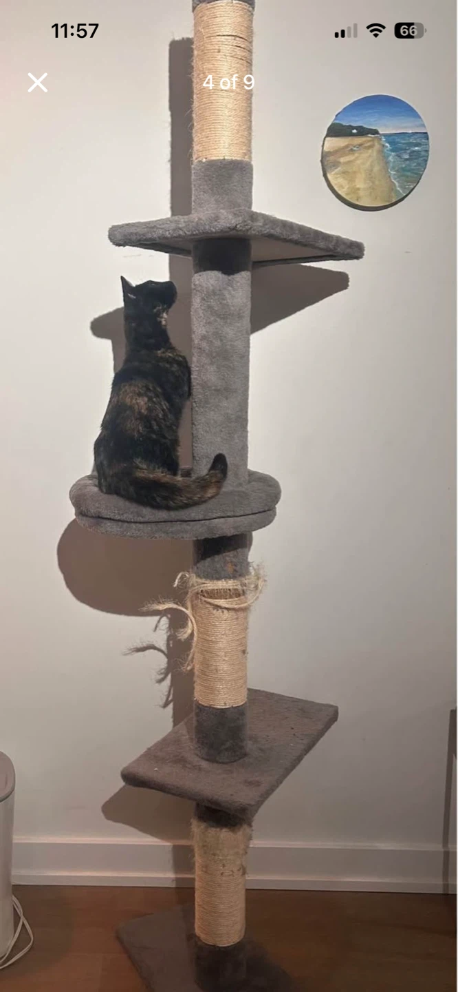 Grey Multi-Level Cat Tree with Scratching Posts - photo 4