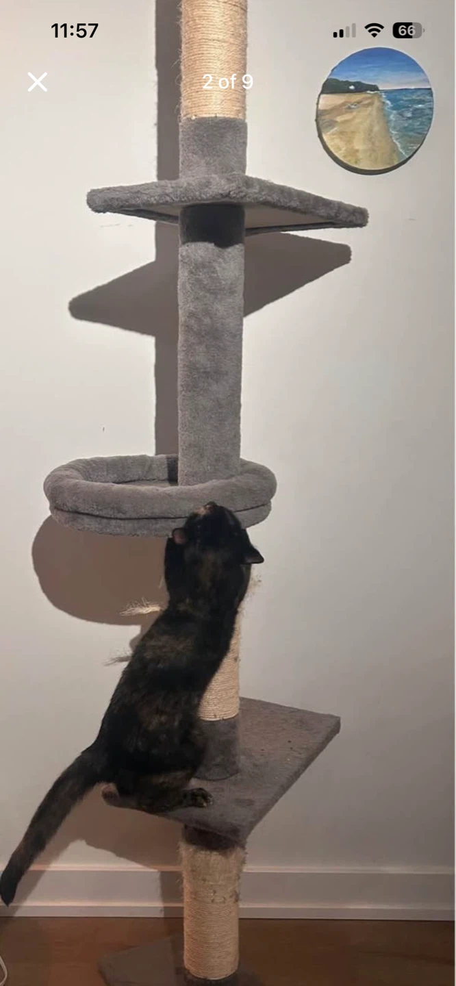 Grey Multi-Level Cat Tree with Scratching Posts - photo 2