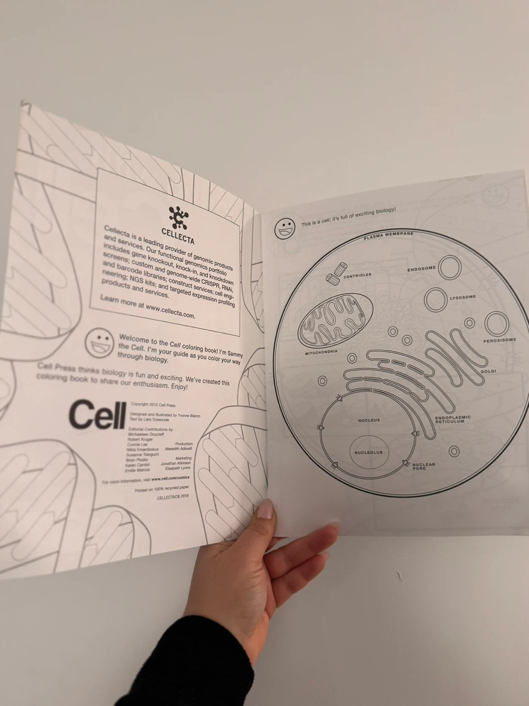 Cell Coloring Book by Cell Press 2010