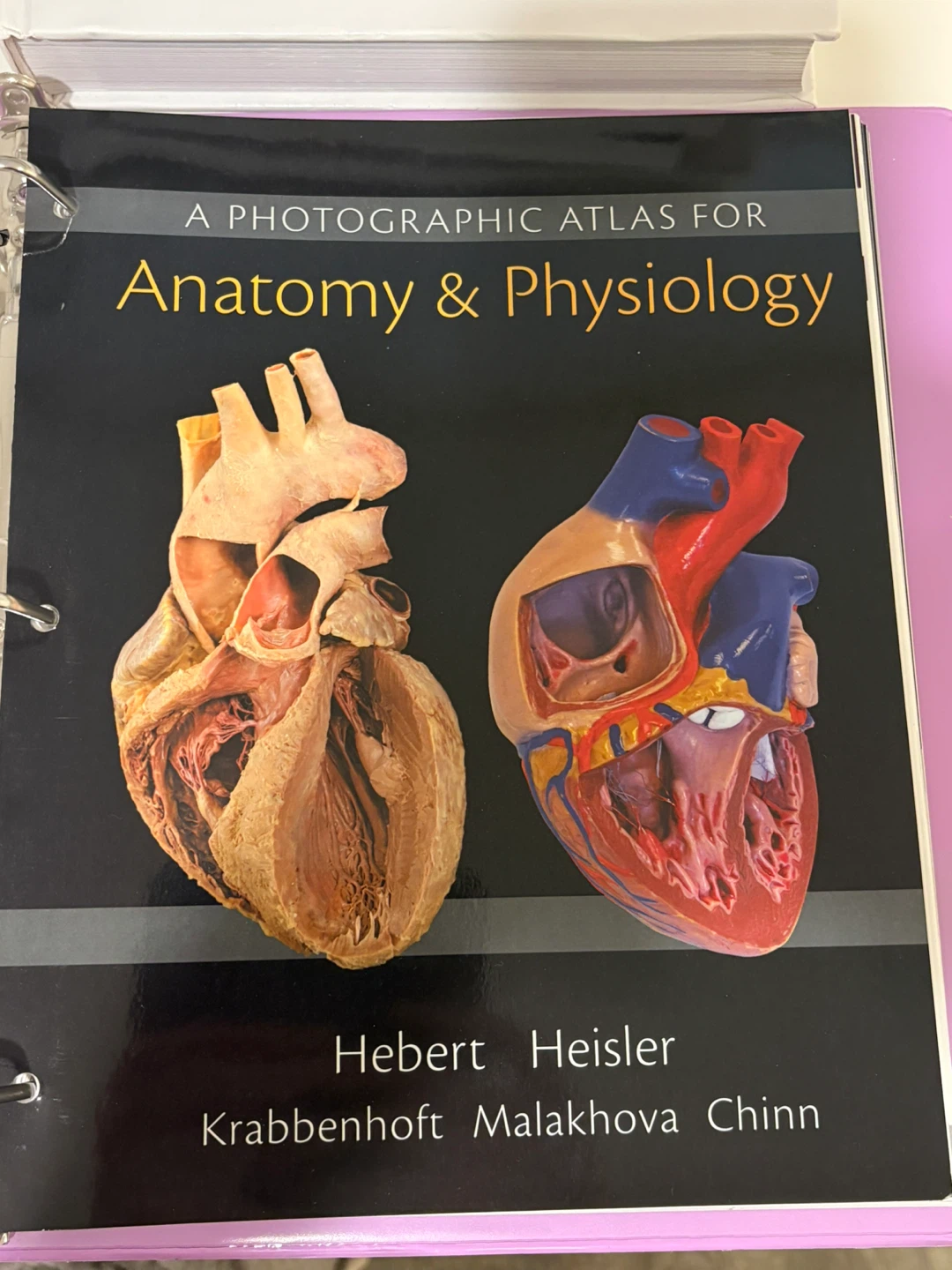 A Photographic Atlas for Anatomy & Physiology Textbook