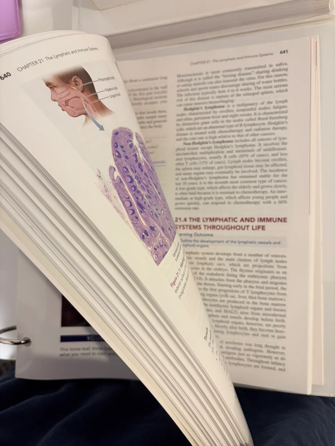 Human Anatomy 9th Edition Loose-Leaf Textbook - photo 2