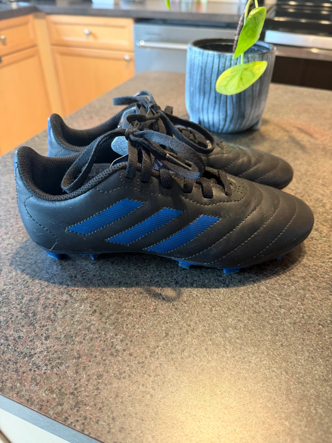 Adidas Soccer cleats