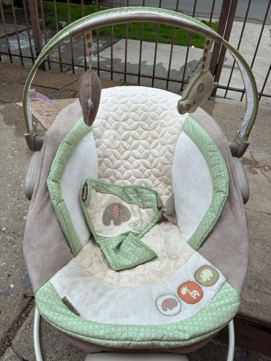 Ingenuity Automatic Bouncer