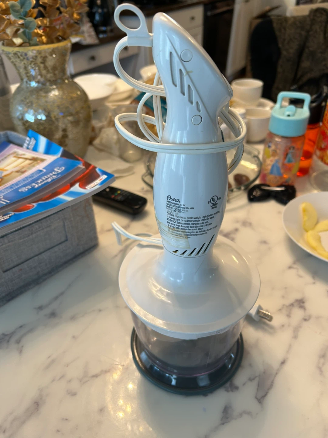 Oster Immersion Blender