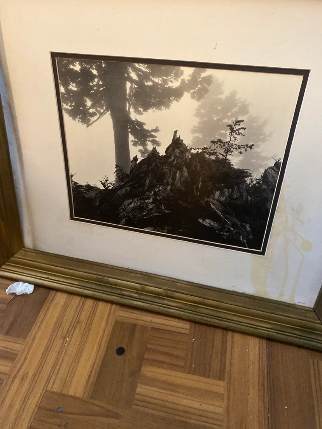 Framed Black and White Landscape Photograph