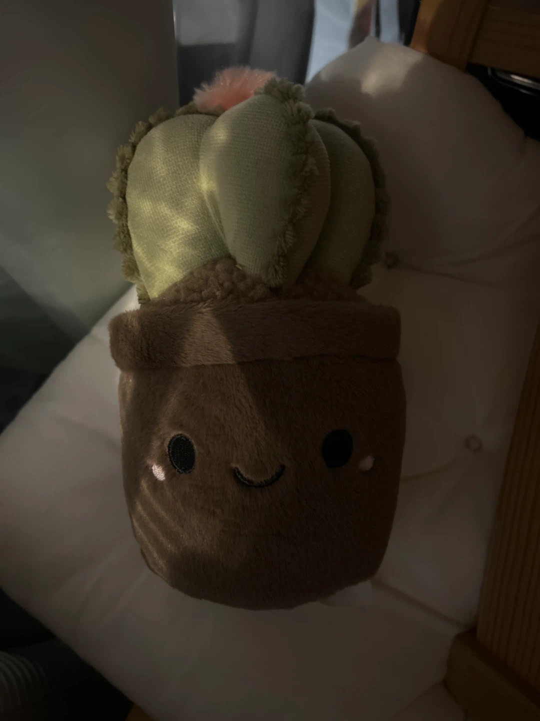 Plush Cactus Toy