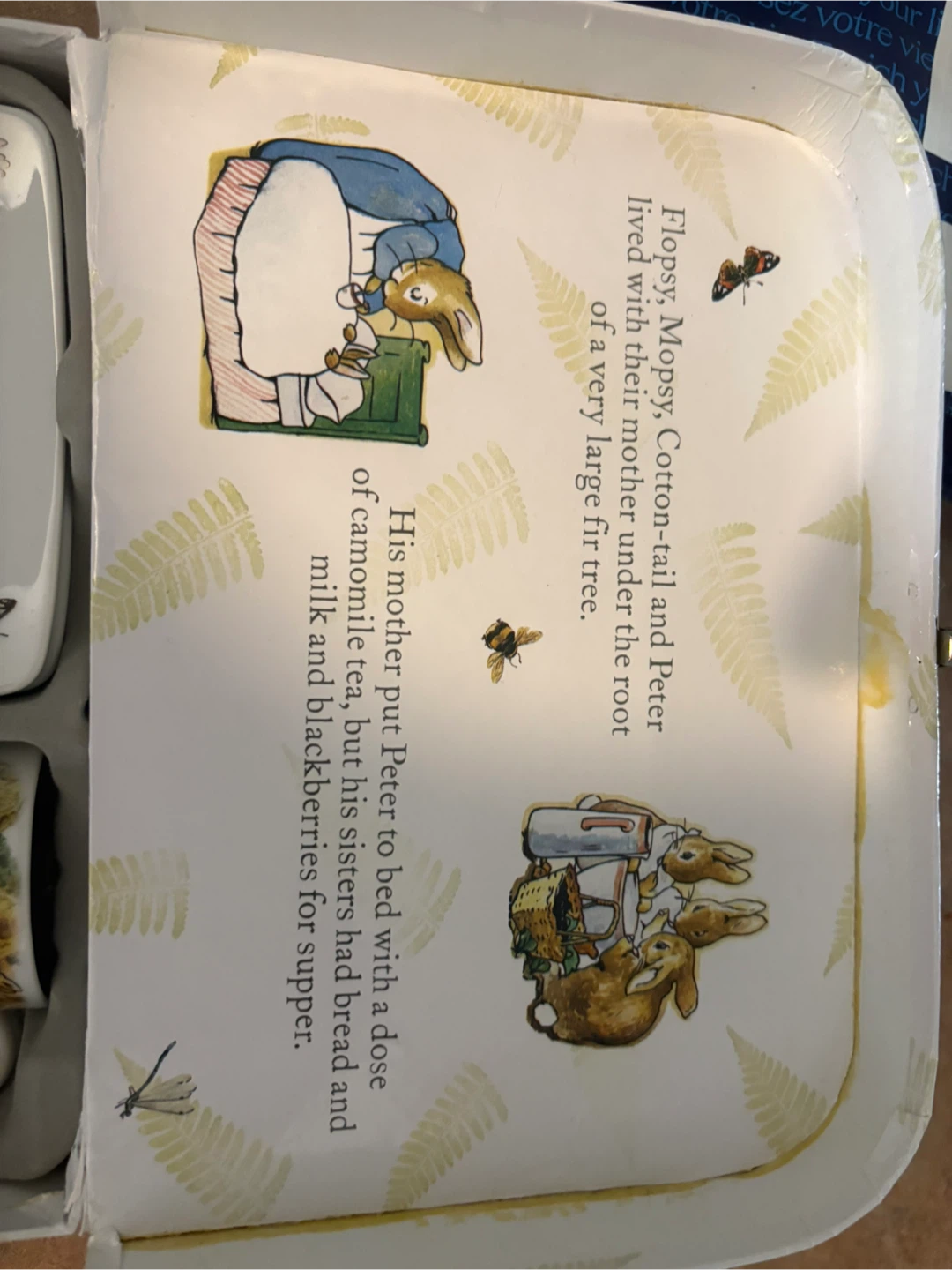 The Original Peter Rabbit Tea Party Set for Two - photo 3