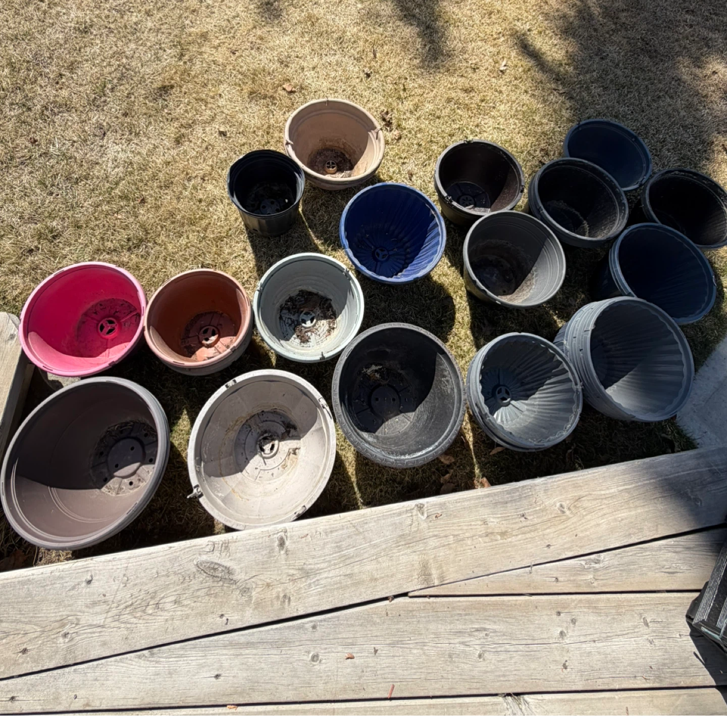 50 Assorted Plastic Plant Pots