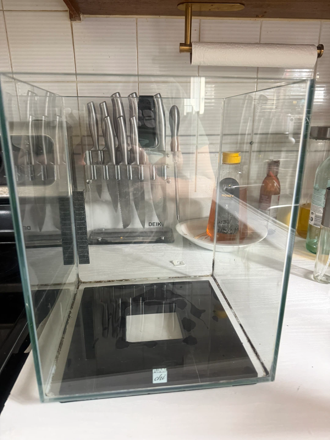 Glass Aquarium Tank - photo 2