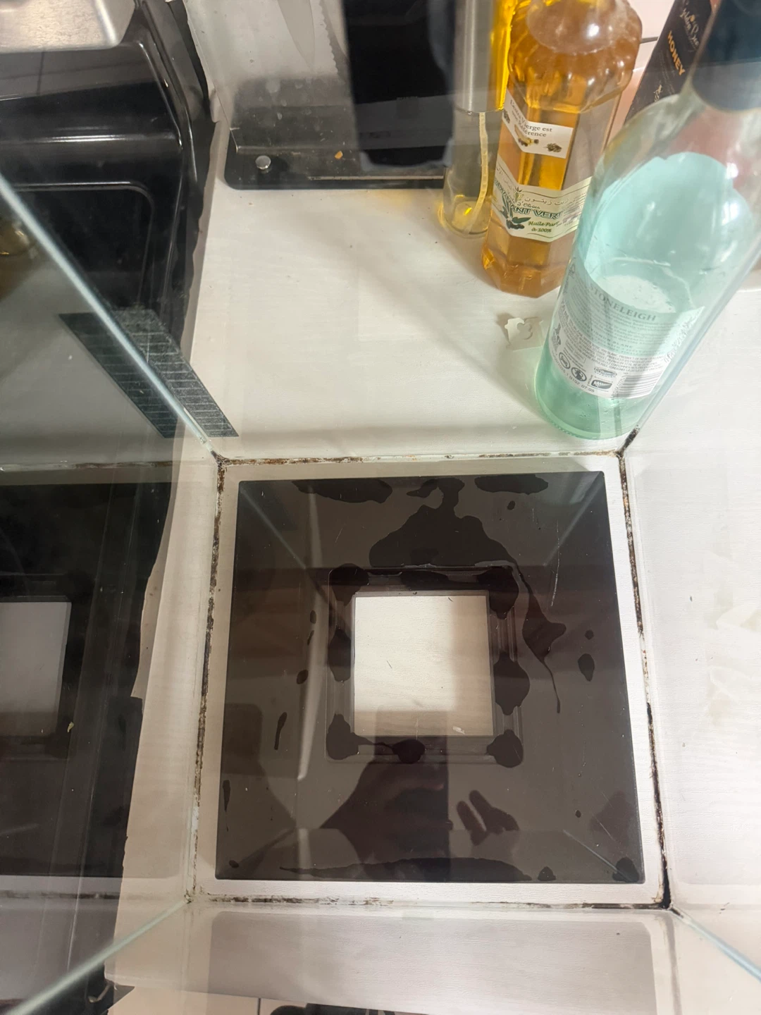 Glass Aquarium Tank