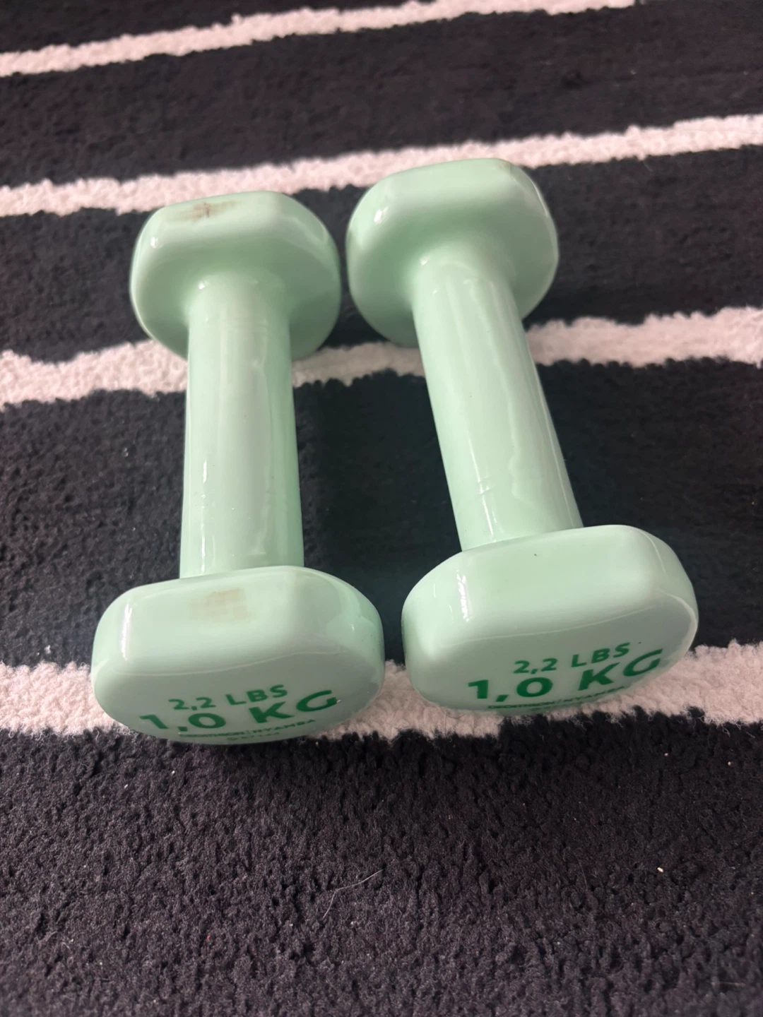Decathlon NYAMBA 1kg Dumbbells (Pair)