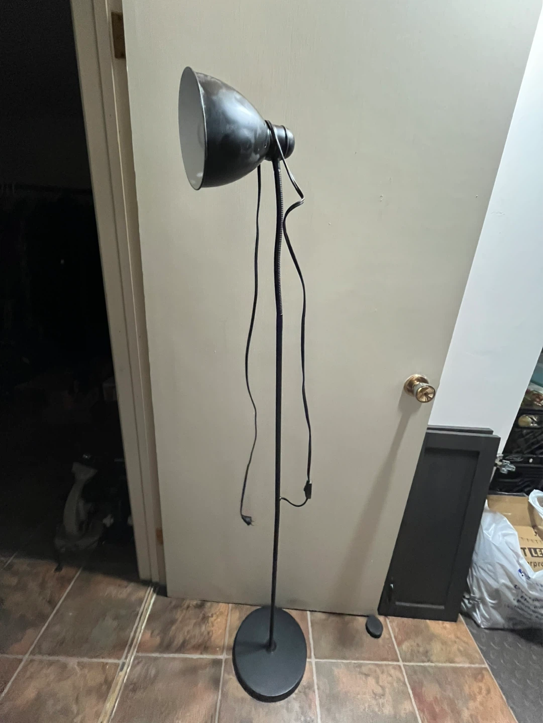 Black Floor Lamp with Adjustable Neck