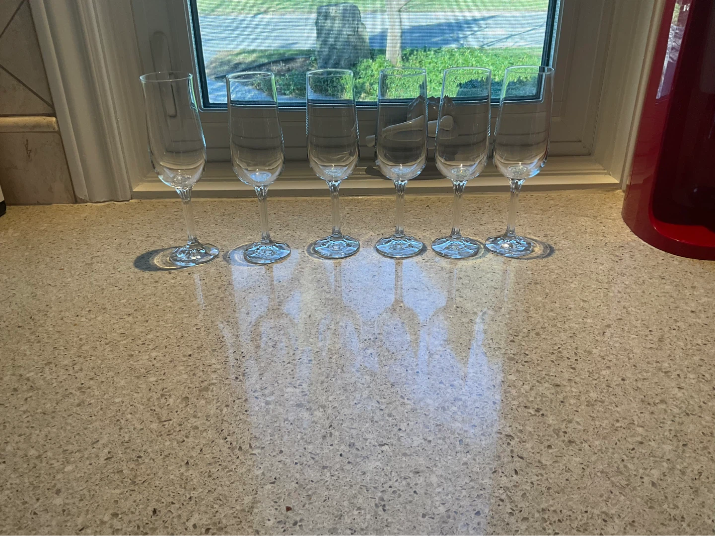 6 Champagne Flutes