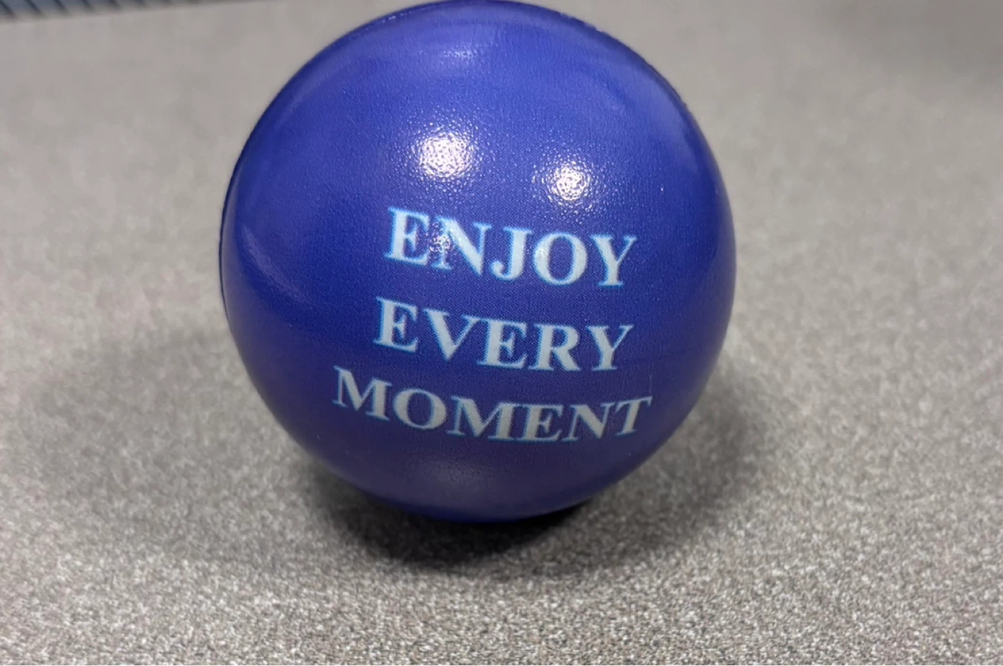 Blue "Enjoy Every Moment" Stress Ball