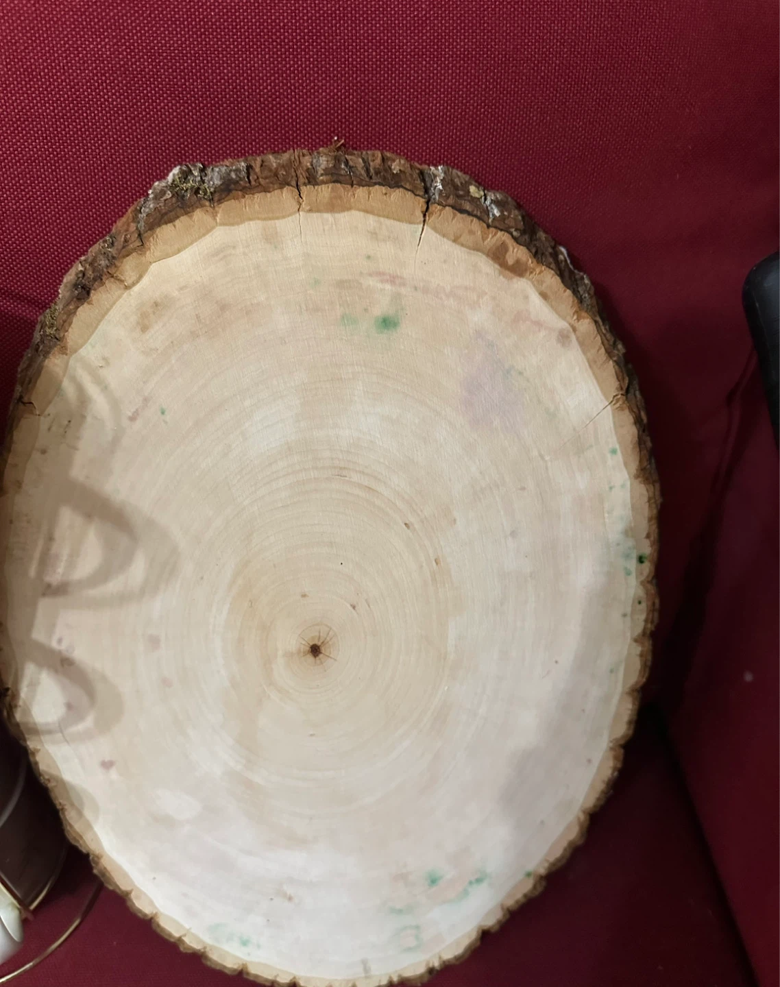Wood Slice with Bark Edge