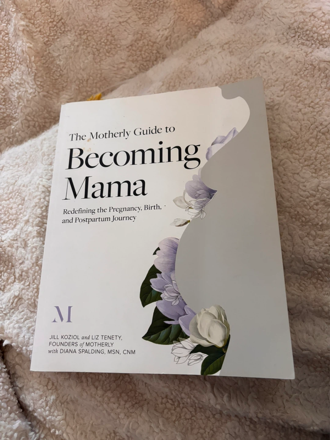 Pregnancy books