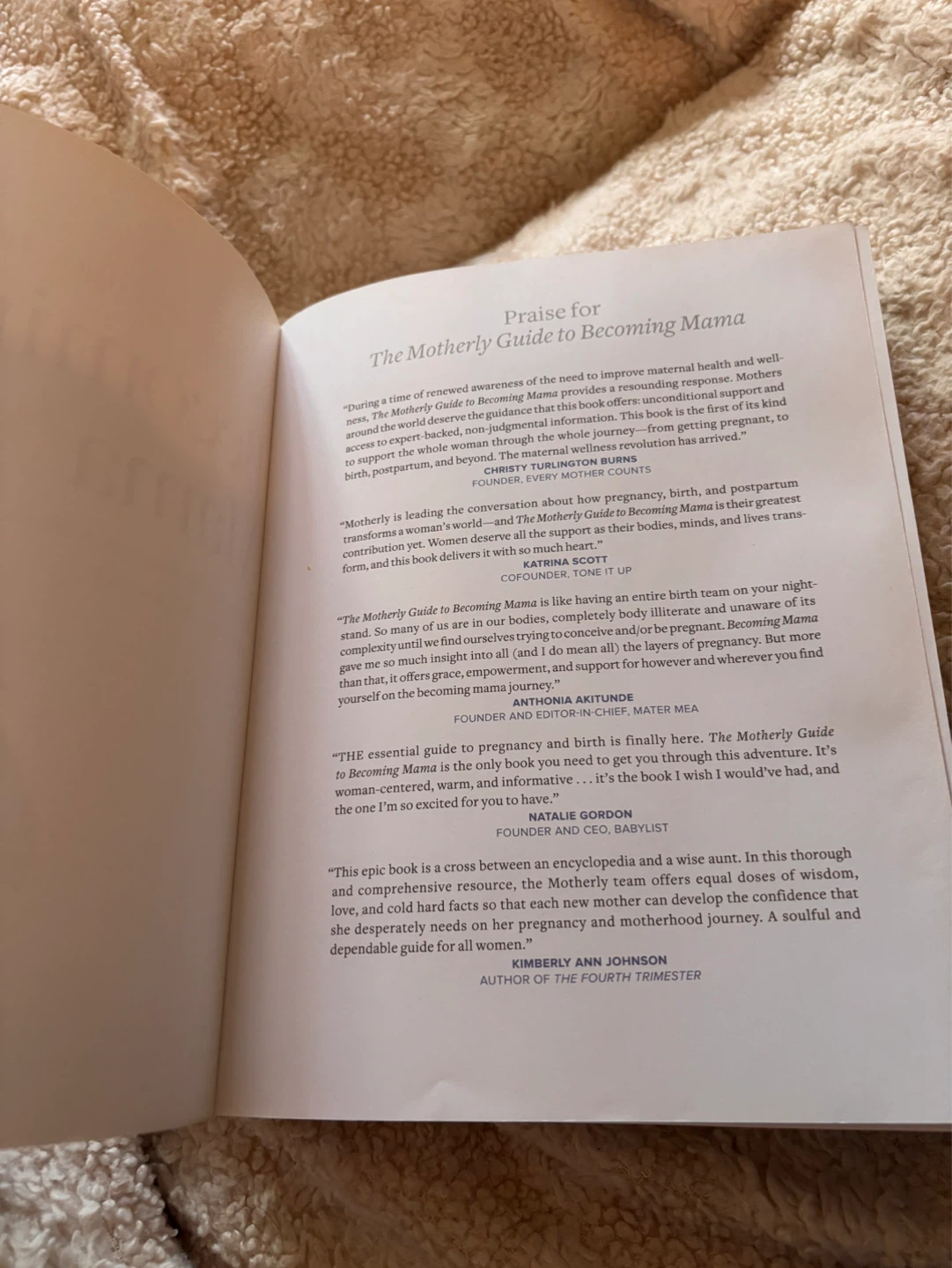 Pregnancy books - photo 2