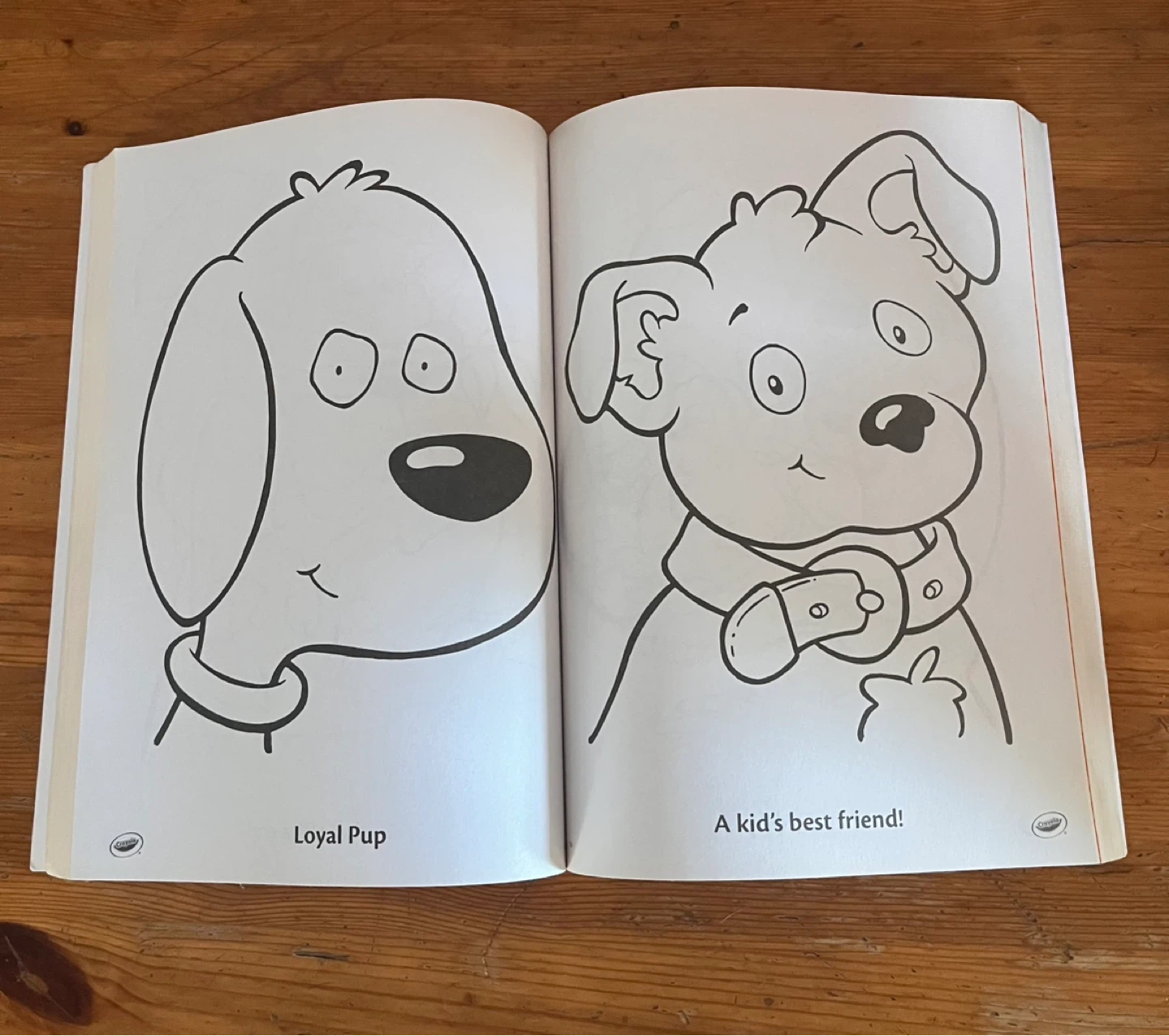 Crayola Fantastic Fun Book to Color with Stickers - photo 3