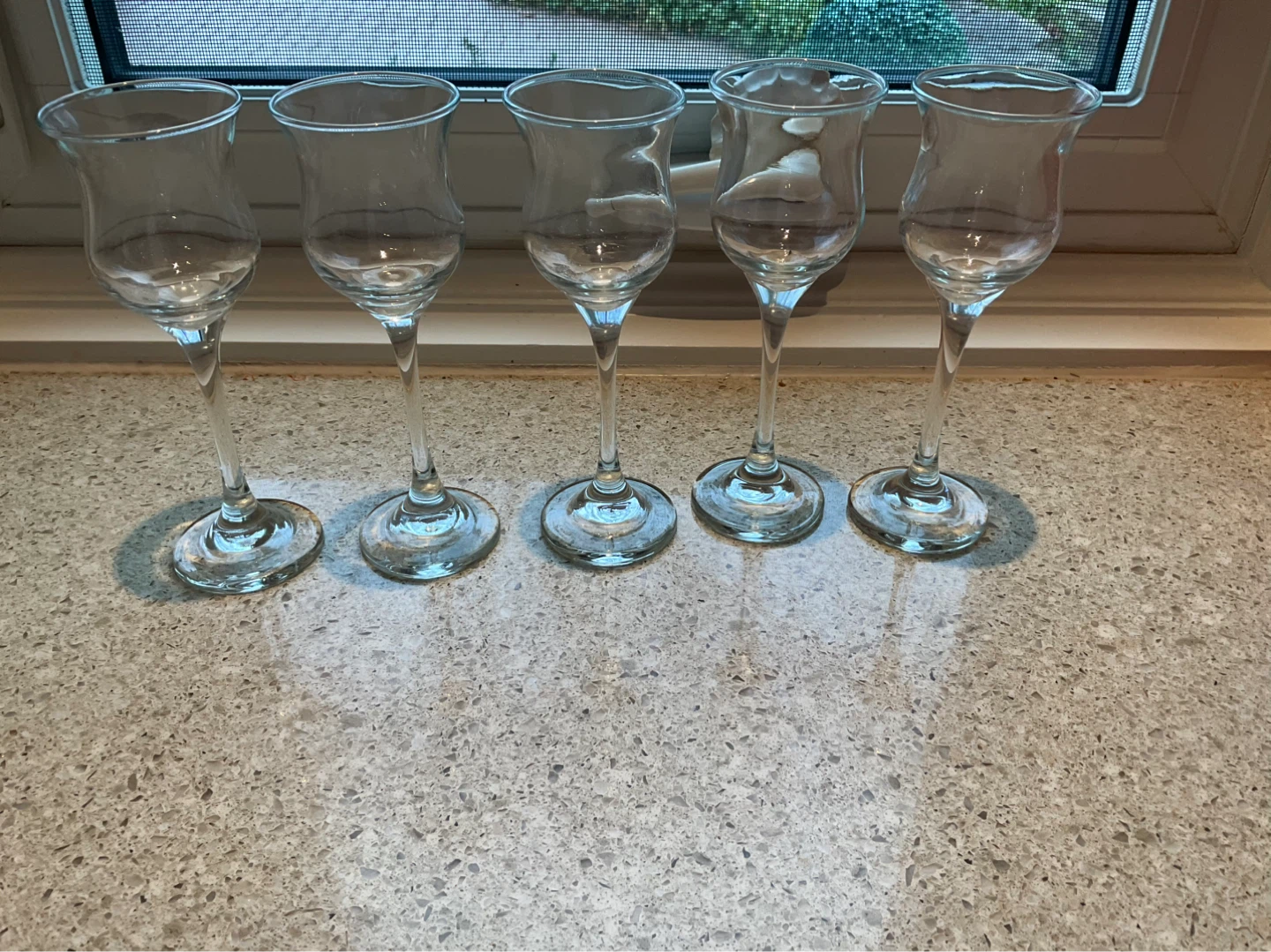 Set of 5 Clear Glass Cordial Shot Glasses