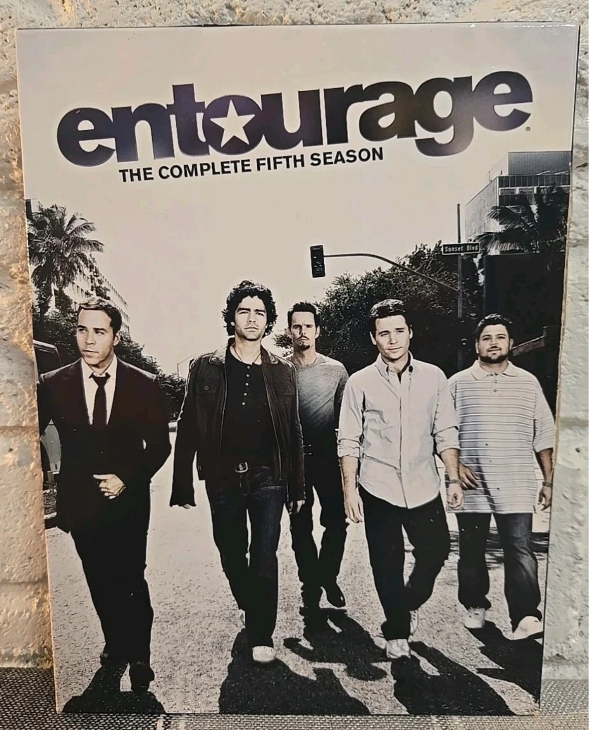 Entourage The Complete Season 5 DVD Set