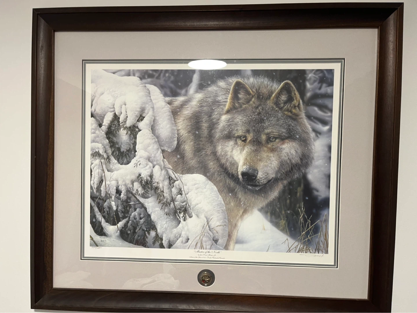 Framed Wolf Art Print