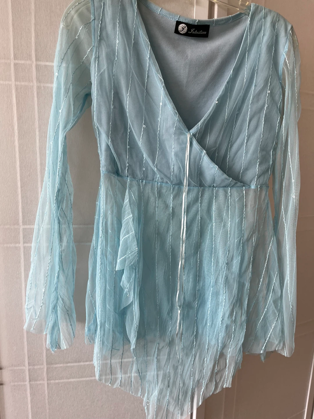 Blue Sheer Top