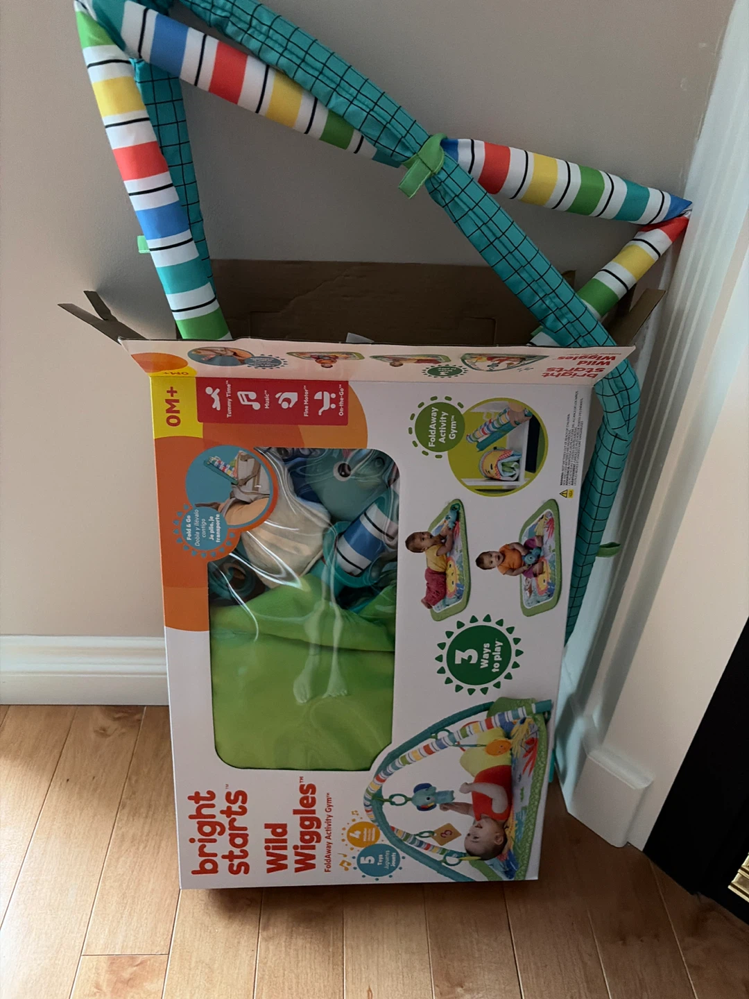 Activity gym