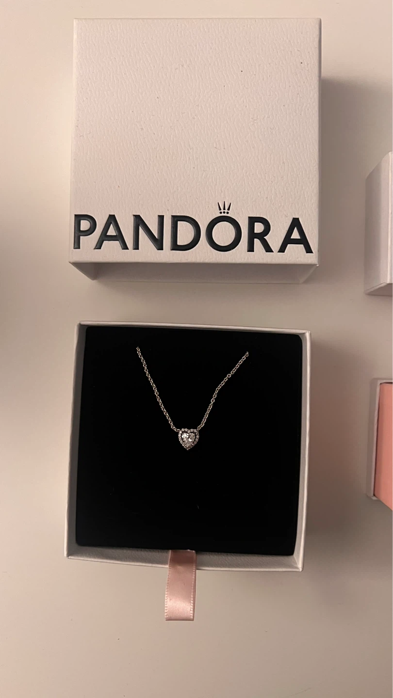 Heart pandora necklace