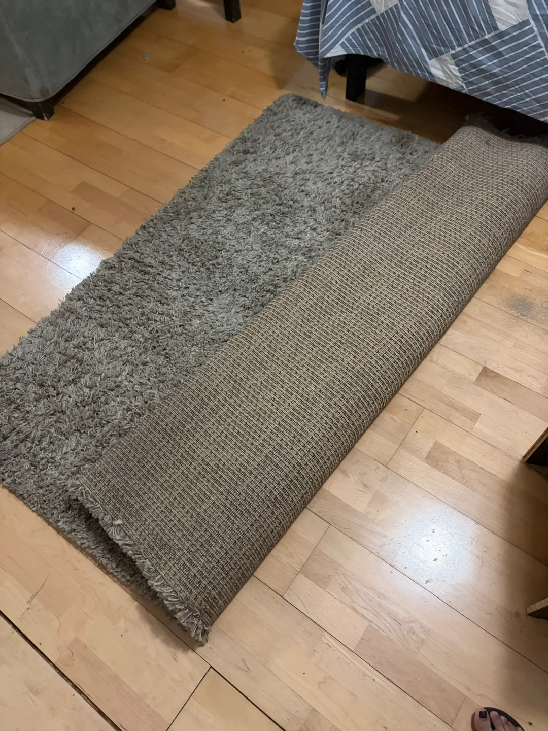 Shaggy Area Rug