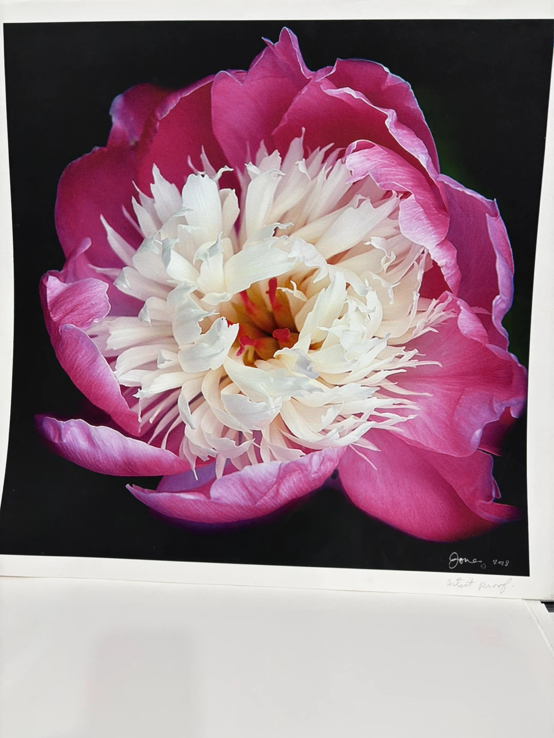 Original Fine Art Prints – Calgary-Based Artist | Various Sizes - photo 2