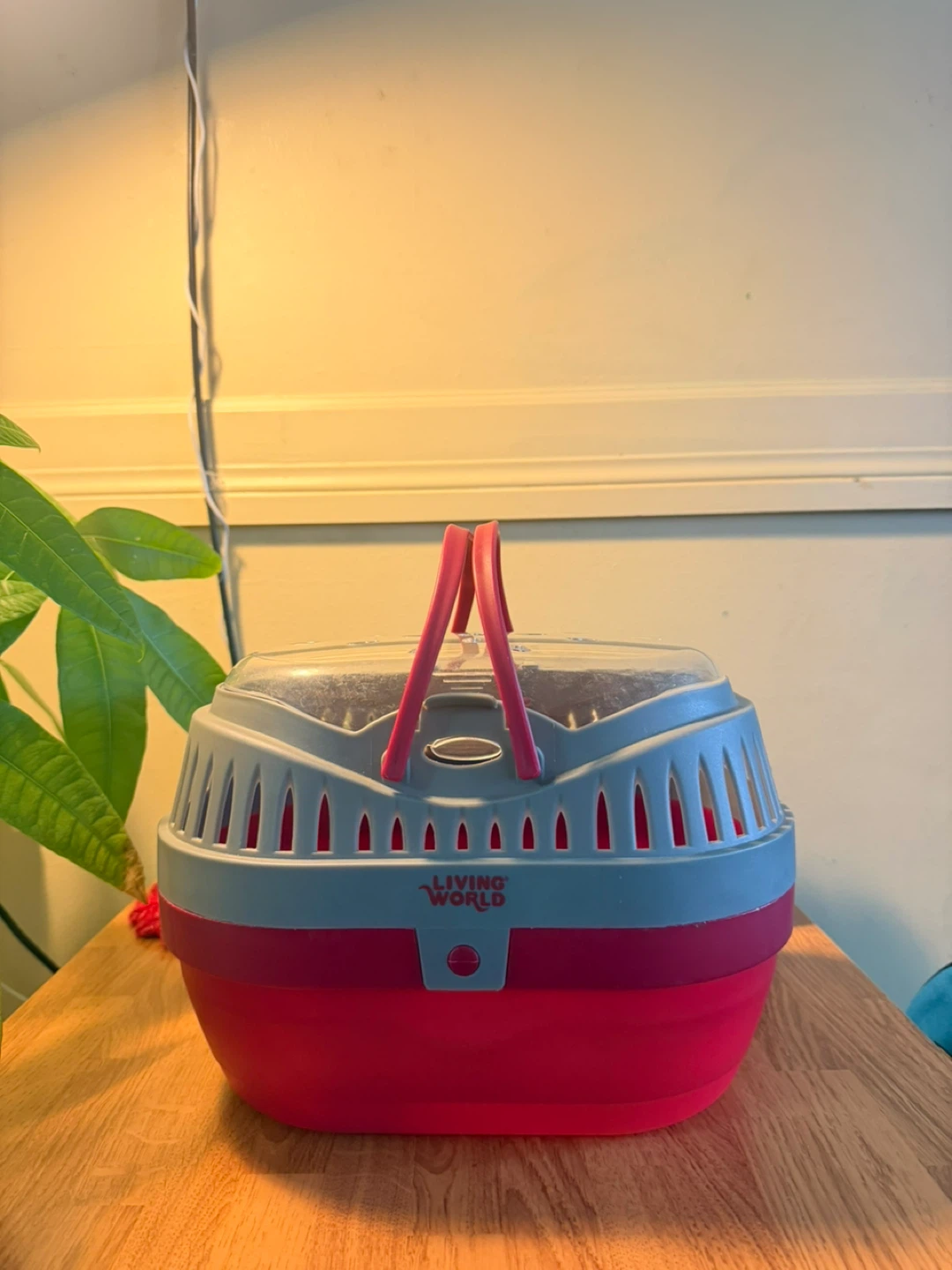 Living World Pet Carrier