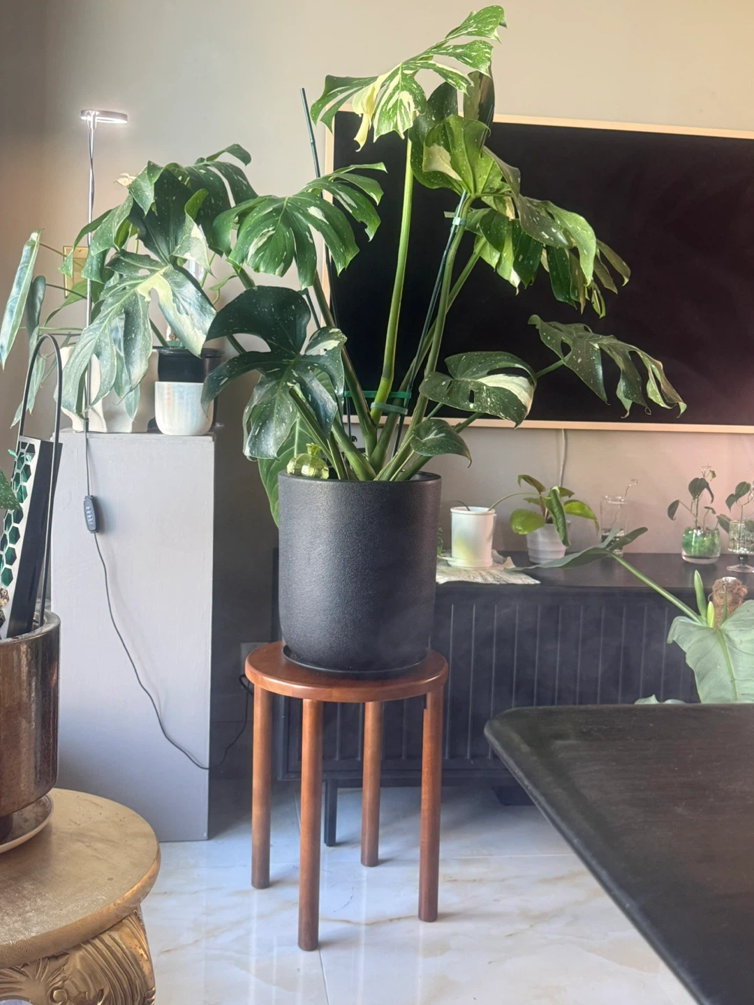 Rubber Wood Stool Plant Stand