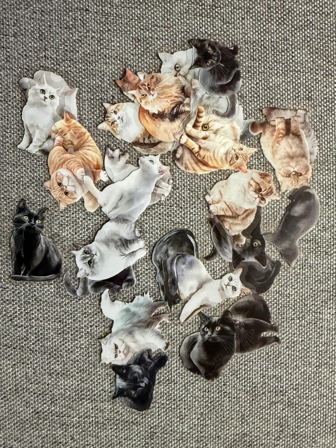 20 Cat Stickers