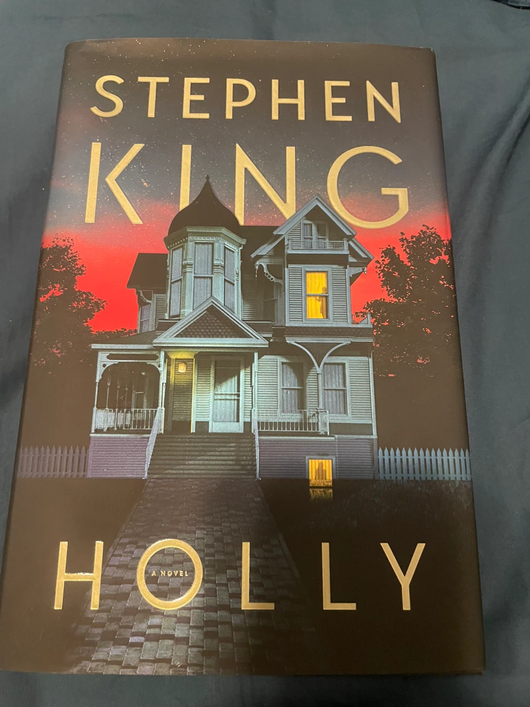Stephen King Holly A Novel Hardcover Book
