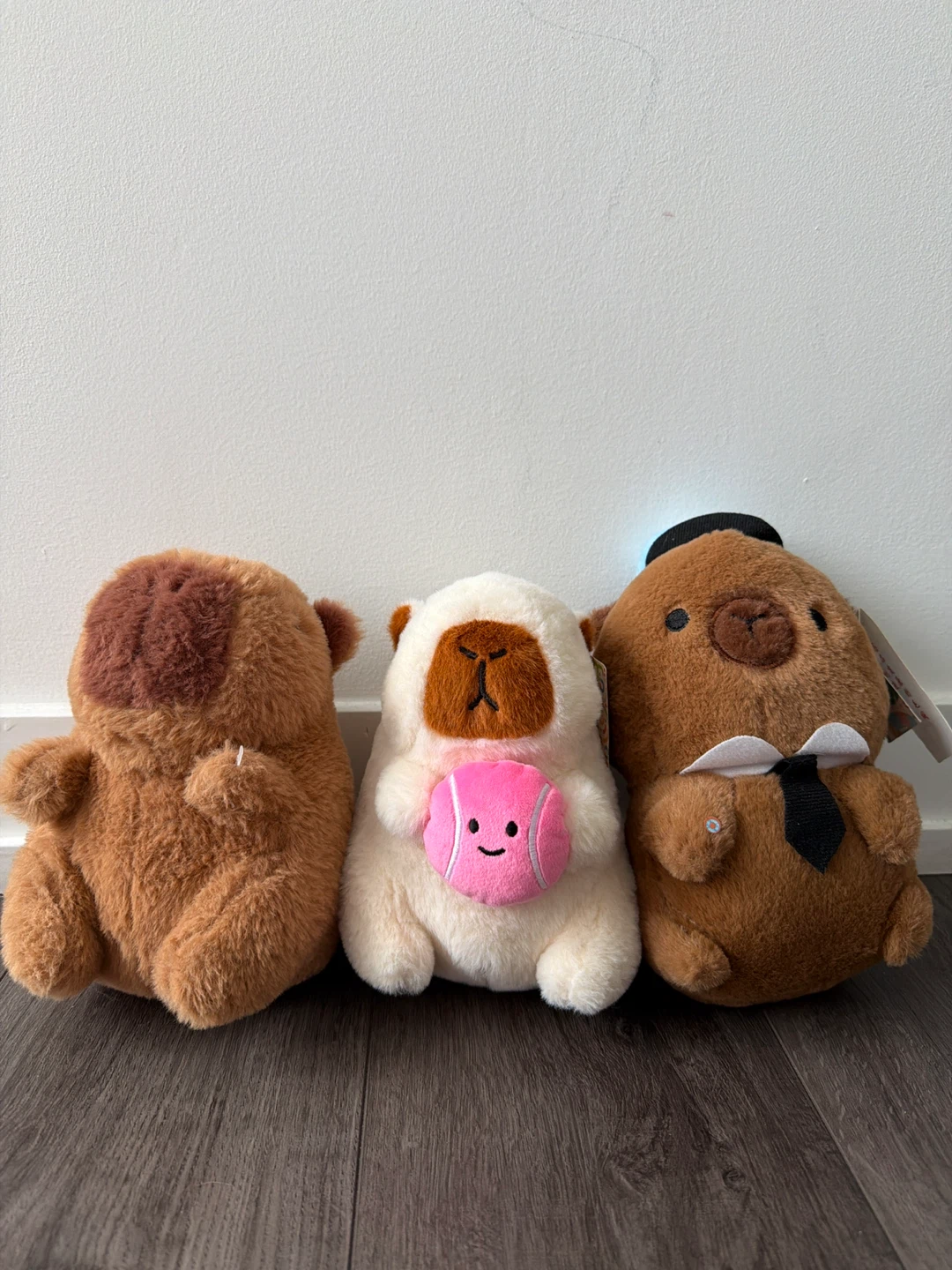Capybara Plush Toy