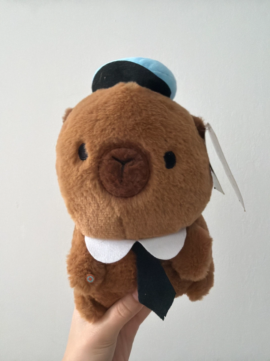 Capybara Plush Toy - photo 3