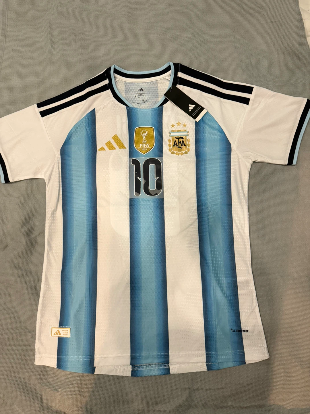 Argentina 2022 World Cup Champions Soccer Jersey Messi #10