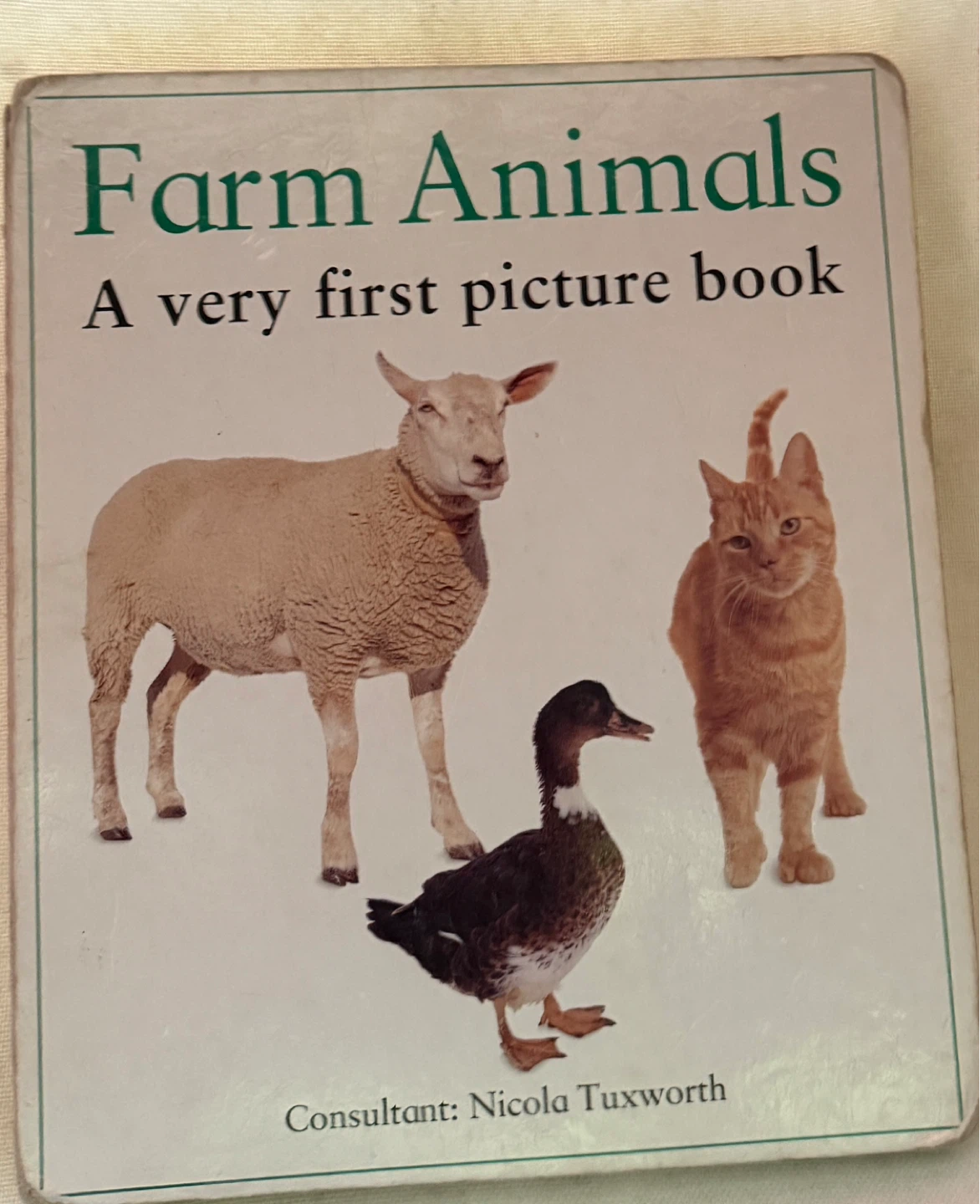 Children’s Book - photo 2